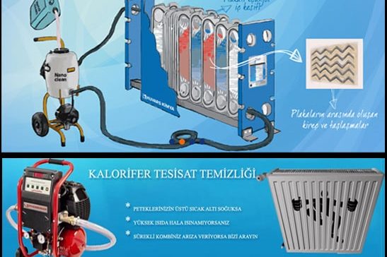 Petek Temizliğinin Önemi