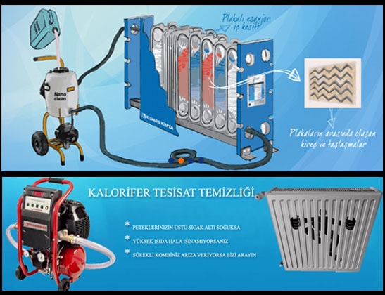 Petek Temizliğinin Önemi Petek Temizliğinin Önemi