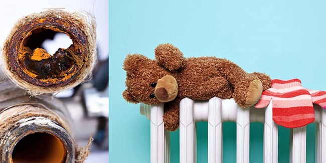 Petekleri Nasıl Temizlerim Petekleri Nasıl Temizlerim