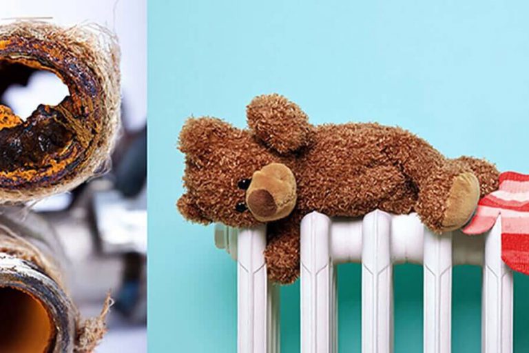 Petekleri Nasıl Temizlerim