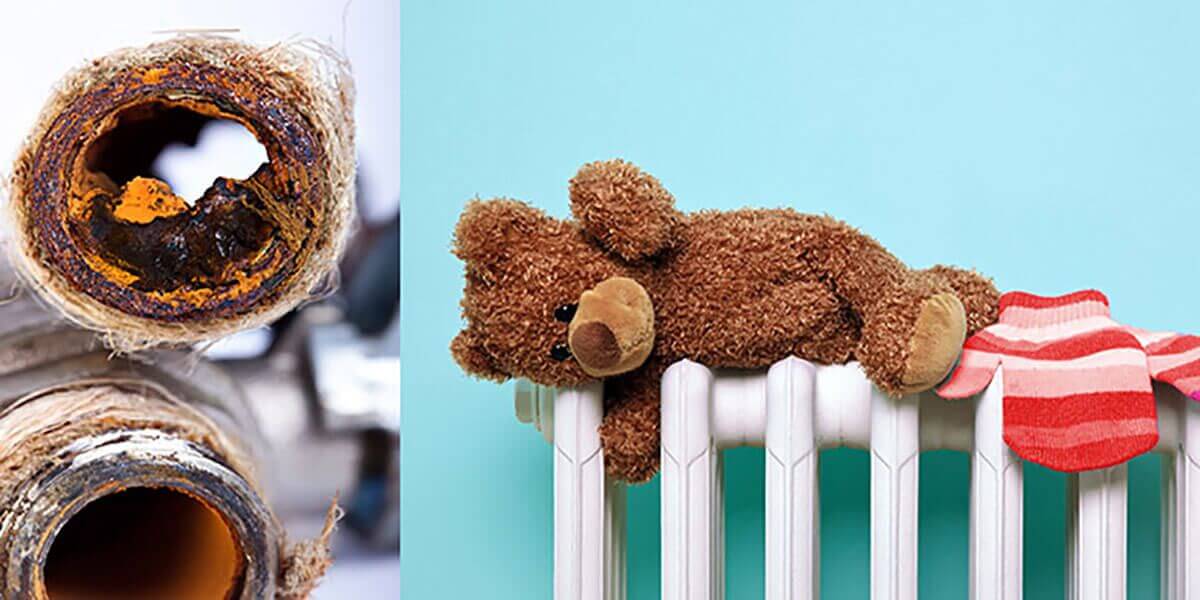 Petekleri Nasıl Temizlerim Petekleri Nasıl Temizlerim