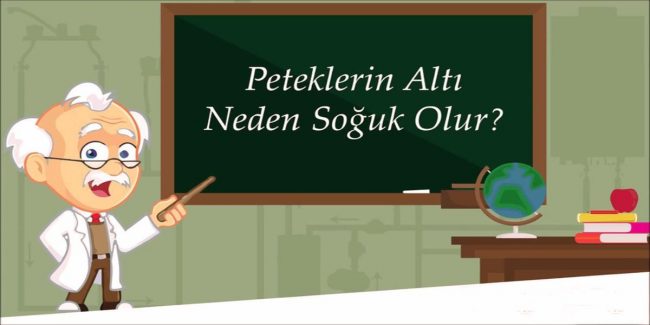Peteklerin alt kısmı neden soğuk olur Peteklerin alt kısmı neden soğuk olur