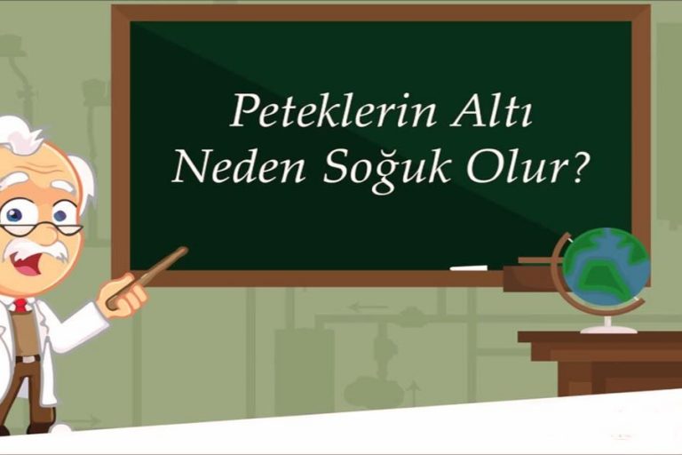 Peteklerin alt kısmı neden soğuk olur