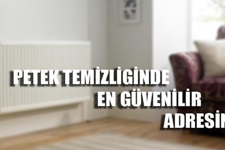 bağcılar petek temizleme