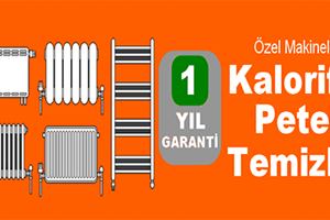 petek temizleme hizmeti