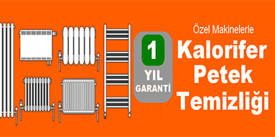 petek temizleme hizmeti petek temizleme hizmeti