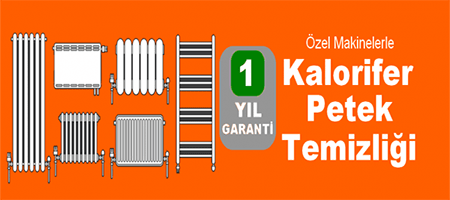 petek temizleme servisi petek temizleme servisi