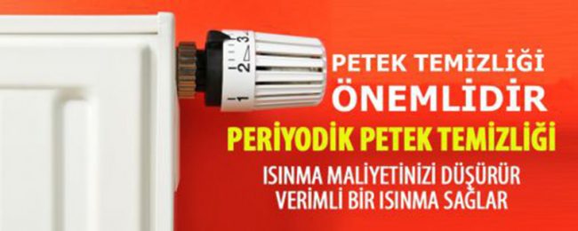 petek temizliği petek temizliği